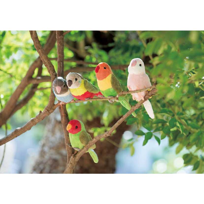 ぬいぐるみ 小鳥 セキセイインコ ボタンインコ アキクサインコ サザナミインコ マメルリハインコ コザクラインコ ボタンインコ Taiyo Sm042 キッズマーケット 通販 Yahoo ショッピング