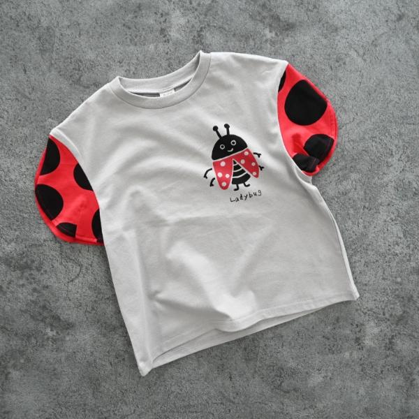 半袖 Tシャツ 90cm 100cm 110cm 120cm 130cm 綿100% てんとう虫 