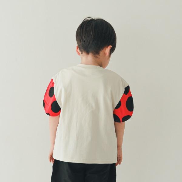 半袖 Tシャツ 90cm 100cm 110cm 120cm 130cm 綿100% てんとう虫