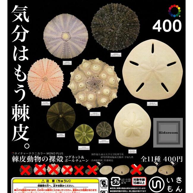 ネイチャーテクニカラー Mono Plus 棘皮動物の裸殻 マグネット ボールチェーン 全4種セット ガチャ ガシャ スカシパン タコノマクラセット G 4 キッズルーム 通販 Yahoo ショッピング