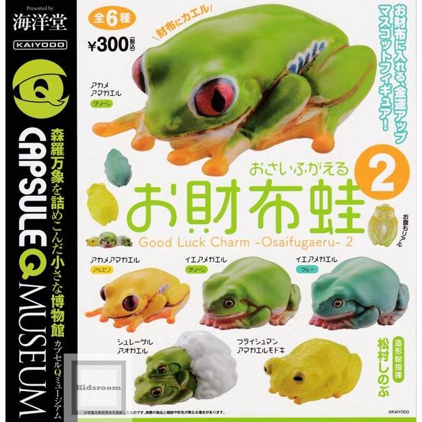 アカメアマガエル オスメスセット シュレーゲル