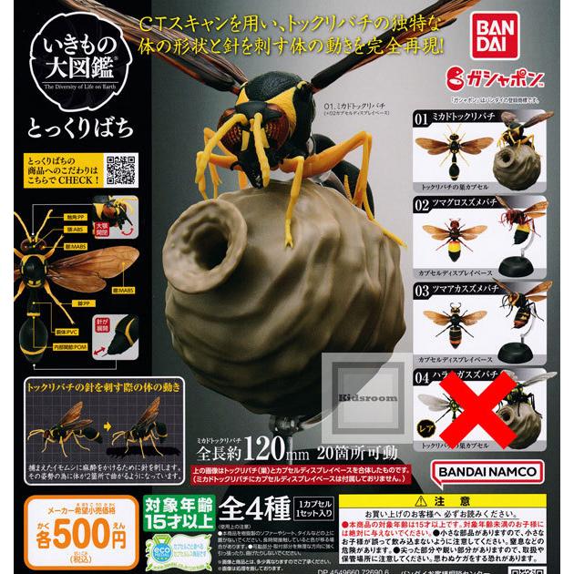 レアなし いきもの大図鑑 とっくりばち 全3種セット ガチャ ガシャ ノーマルセット G 3 キッズルーム 通販 Yahoo ショッピング
