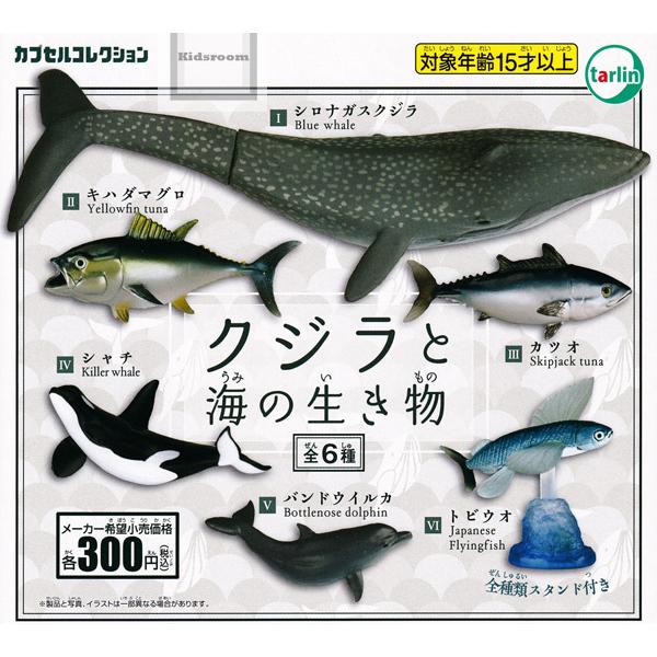 クジラと海の生き物 全6種セット ガチャ ガシャ コンプリート 送料無料