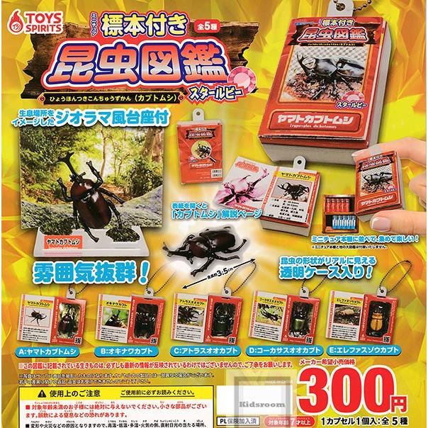 ミニチュア標本付き 昆虫図鑑 カブトムシ スタールビー 全5種セット