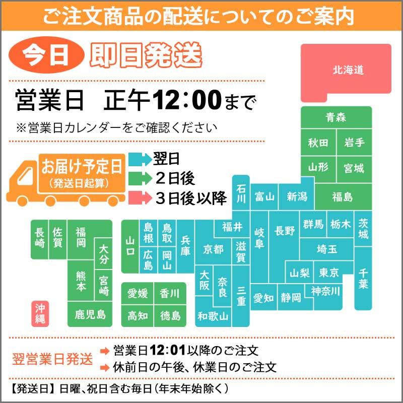 ムーンスター キッズ 子供 サンダル スニーカー キャンプ アウトドア 女の子 ベビー プール 水遊び 海 水陸両用 つま先あり つま先カバー 子供 靴 MF S015C｜kidsstep-yten｜05