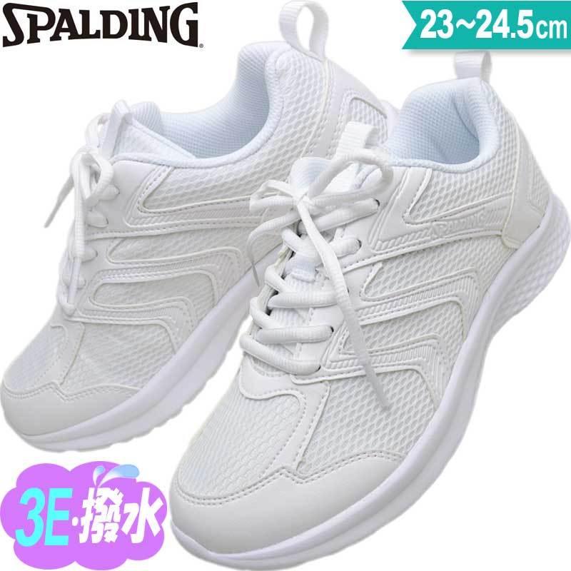 スポルディング 3e ジュニア 白スニーカー 通学 中学生 小学生 紐靴 上履き 白底 通学靴 キッズ スニーカー Jin3800 Jn 380 ホワイト 23 24 5 Sp Jin3800white 3e 子供靴通販 キッズステップ 通販 Yahoo ショッピング