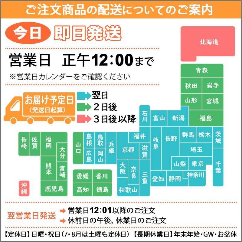 スーパースター バネのチカラ 通学靴 上履き 通学用 白スニーカー 白底 小学生 キッズ ジュニア スニーカー 女の子 子供 靴 SS J754 ホワイト 19〜24.5｜kidsstep-yten｜04