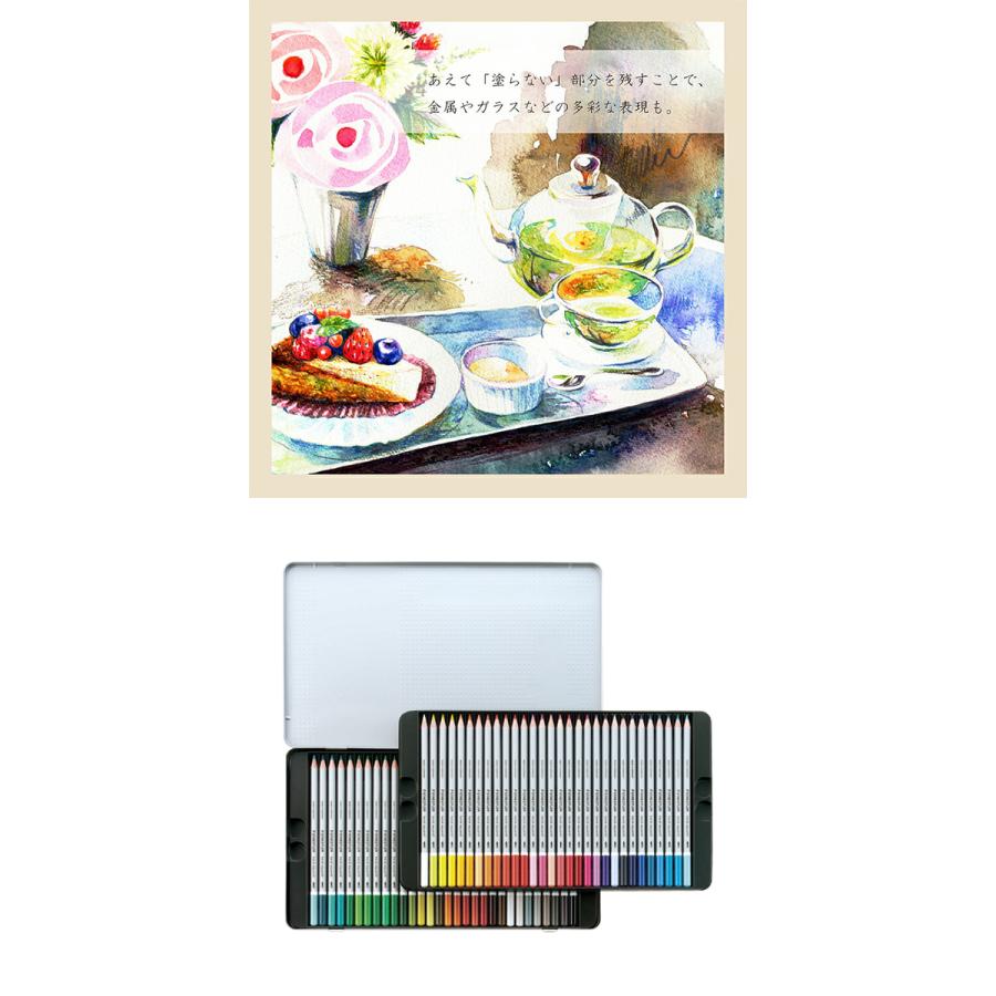 ステッドラー カラトアクェレル水彩色鉛筆 60色 セット 塗り絵 ステッドラー カラトアクェレル水彩色鉛筆 60色 セット 塗り絵