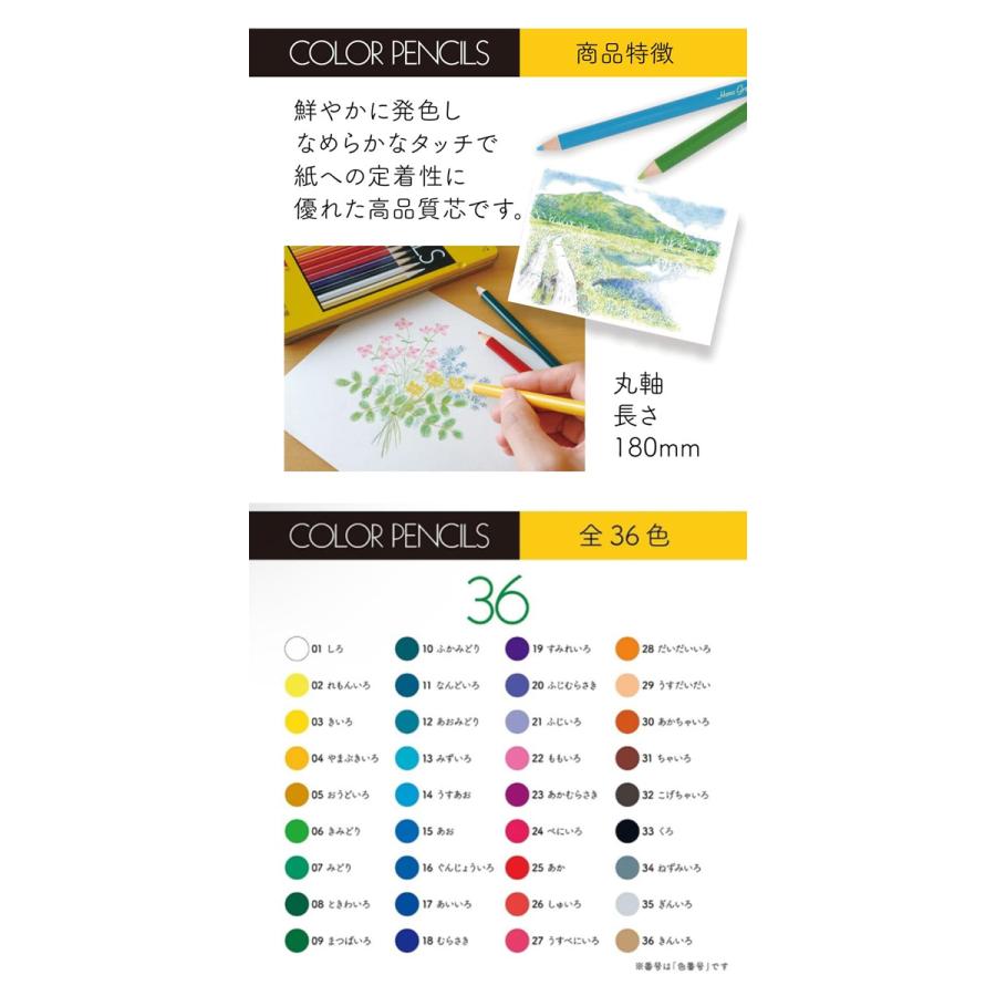 トンボ鉛筆 色鉛筆 36色 缶入 Tombow CB-NQ36C G 2403 C : 子供服