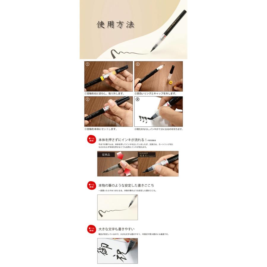 呉竹 筆ぺん 完美王 朱墨 中字 朱書き 添削 墨液 カートリッジ式 XO50