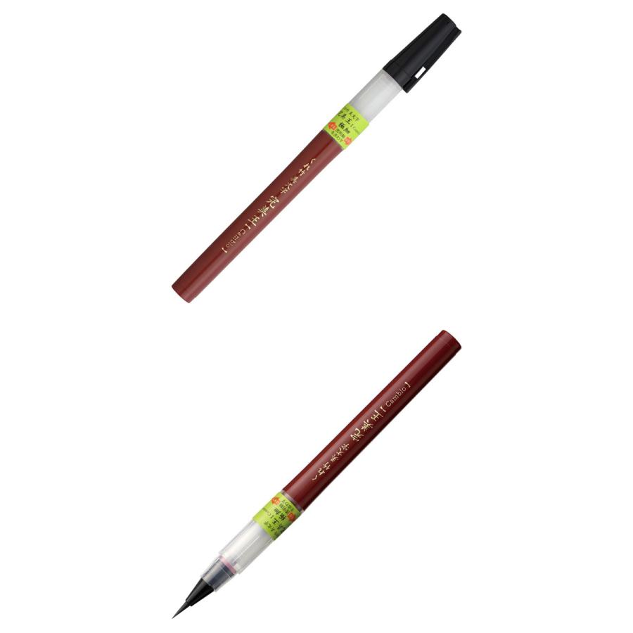 呉竹 筆ぺん 完美王 極細 墨液 カートリッジ式 XO50F2-10S G 2402 C