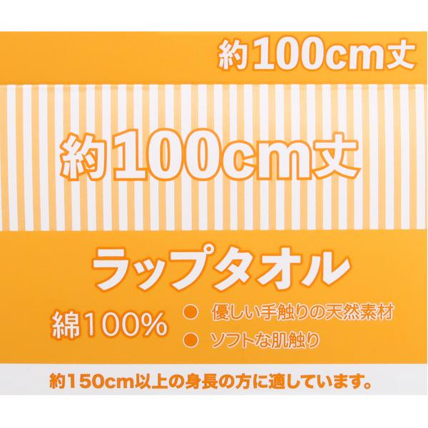 30％OFFセール ラップタオル ALGY アルジー 巻きタオル 100cm スイムグッズ 子供 女の子 お着替え キッズ ジュニア 小学生 中学生 4333023 G  2302 C｜kidstantan｜06