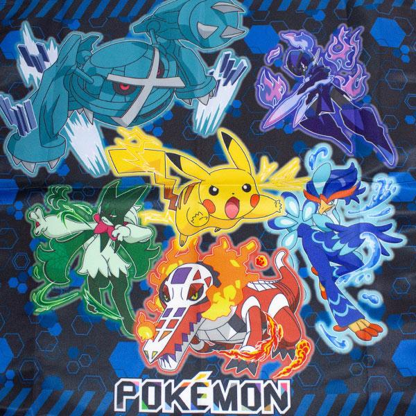 ポケモンキャラクター セット 106種類　133枚以上　レア多数 pk-swing4.jpg