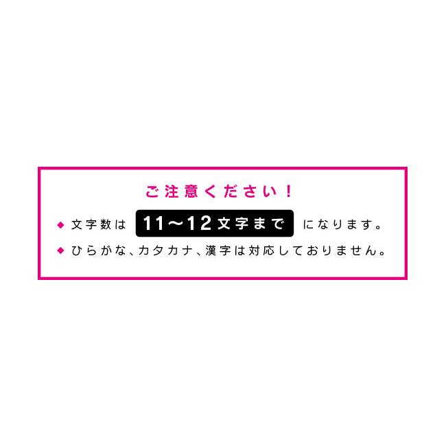 Lサイズ ：11〜12文字まで 】オーダー ネーム ワッペン 文字