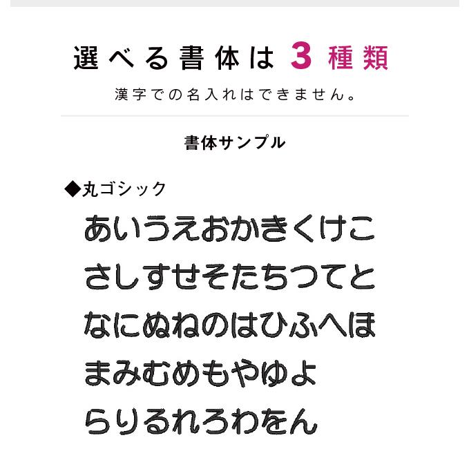 お名前 ワッペン アヒル あひる BIGサイズ ネームワッペン フルネーム