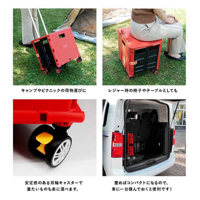 最も優遇 キャリーケース キャリーバッグ ピノーラ Pino La 折り畳みキャリー 折りたたみ式4輪キャスター 取り外し式キャスター 2pn2 36h2 Zenithsolicitor Co Uk