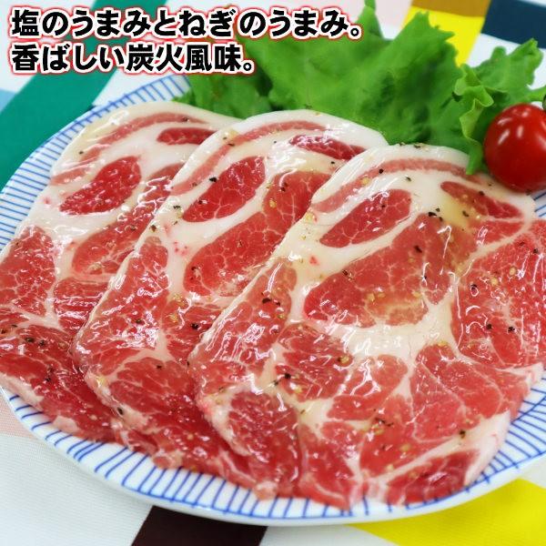 国産熟成那須豚肩ロース焼肉味付けジューシースライス135g9パック1.2kg　バーベキュー　焼き肉　メガ盛り　ギフト｜kielbasa-japan｜12