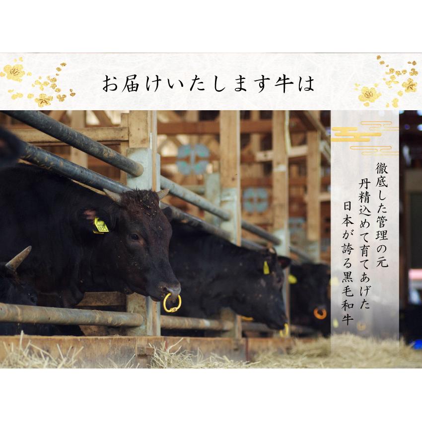 和牛 黒毛和牛 A5等級 霜降りサーロインステーキ (200g〜220g) ギフト｜kien-store｜03