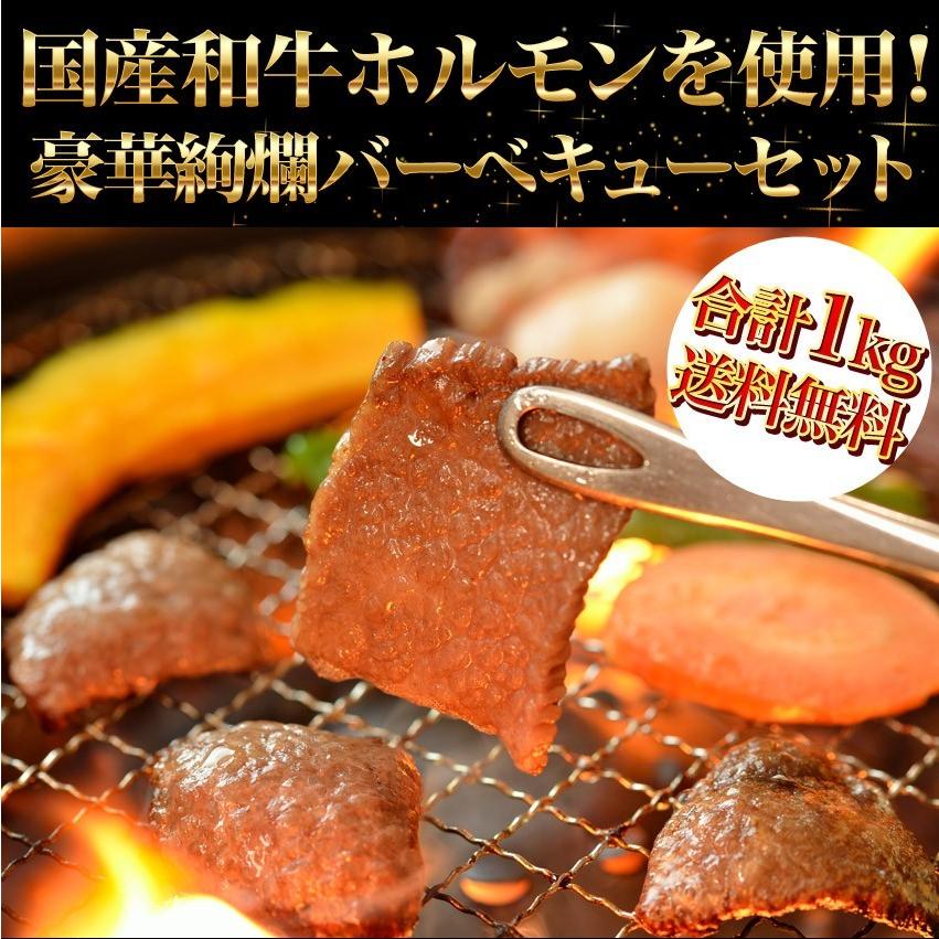 牛肉 バーベキュー BBQ 焼肉 送料無料 黒毛和牛カルビ 400g 国産ホルモン 600g 合計1kg｜kien-store