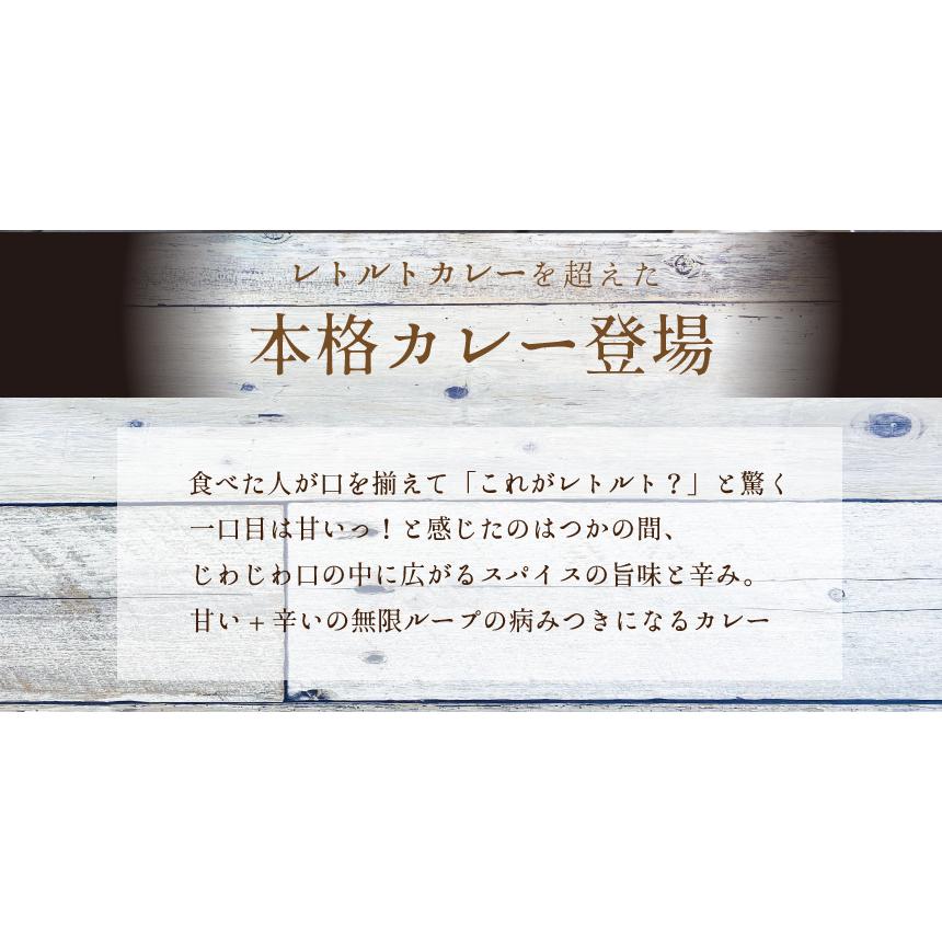 レトルトカレー 本格あまからカレー おためし3袋 ビーフ辛口 17種類のスパイス配合 ネコポス レトルト食品｜kien-store｜02