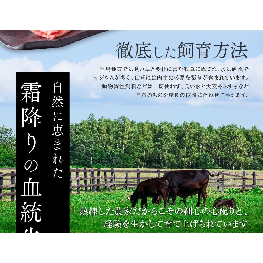 神戸牛 牛肉 肉 和牛 Ａ５等級 極撰クラシタローススライス 500g 250g×2パックでお届け お取り寄せ グルメ ギフトの画像