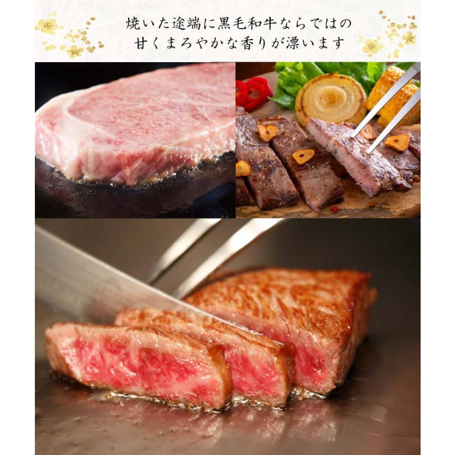 牛肉 肉 和牛 A5等級 リブロースステーキ 大判ステーキ 父の日 プレゼント 2024 贈答にも(300g×2枚) 送料無料 ギフト｜kien-store｜08