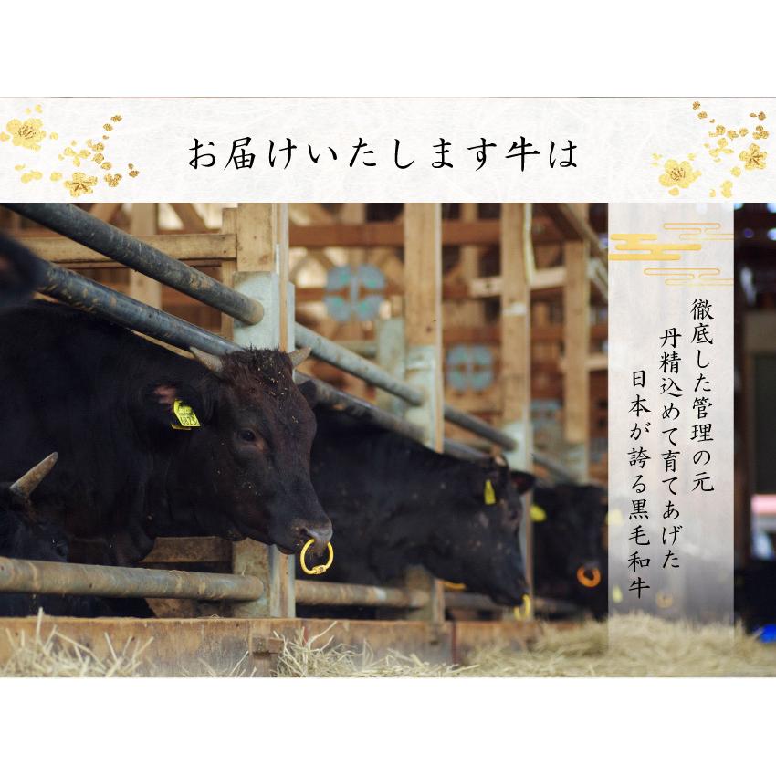 和牛 牛肉 黒毛和牛 A5等級 サーロインステーキ 贈答にも(150g〜180g)×2枚 ギフトの画像