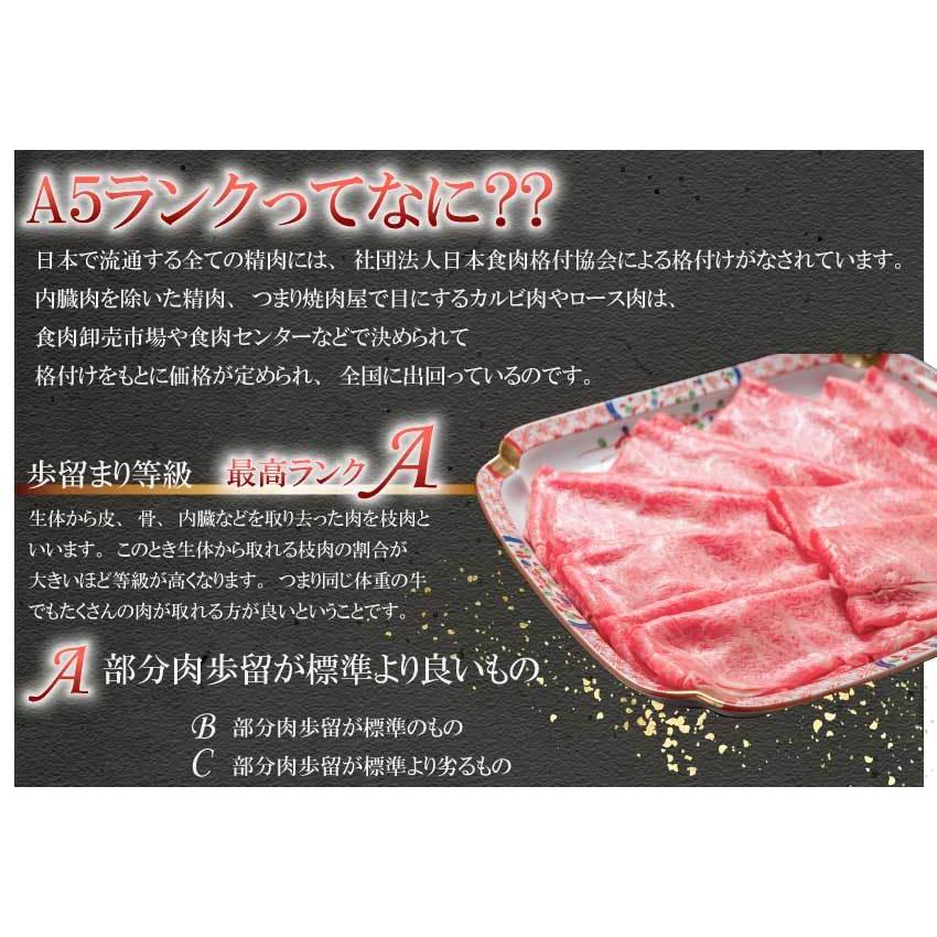 和牛 牛肉 黒毛和牛 A5等級 サーロインステーキ 贈答にも(150g〜180g)×2枚 ギフトの画像