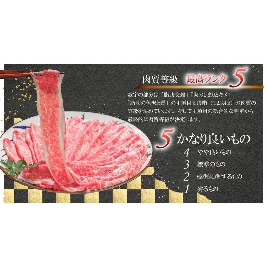 和牛 牛肉 黒毛和牛 A5等級 サーロインステーキ 贈答にも(150g〜180g)×2枚 ギフトの画像