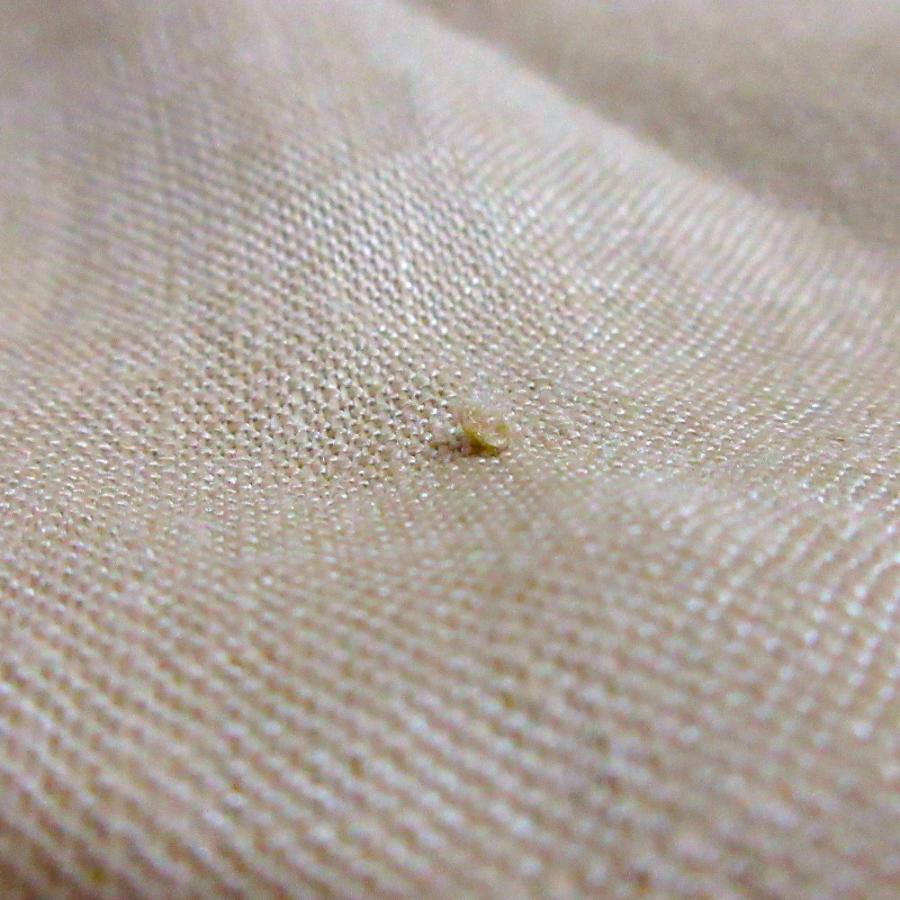 HYKE（ハイク） 良品 24SS HYKE LINEN SHIRRED TOP ブラウス 241-15206