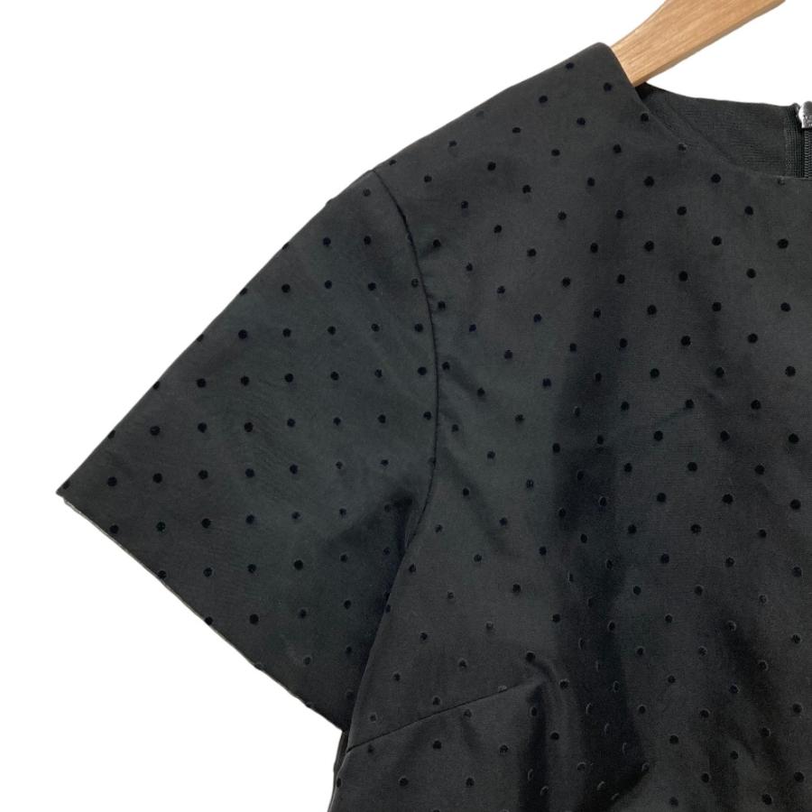 TSURU by Mariko Oikawa（ツルバイマリコオイカワ） satine ドット