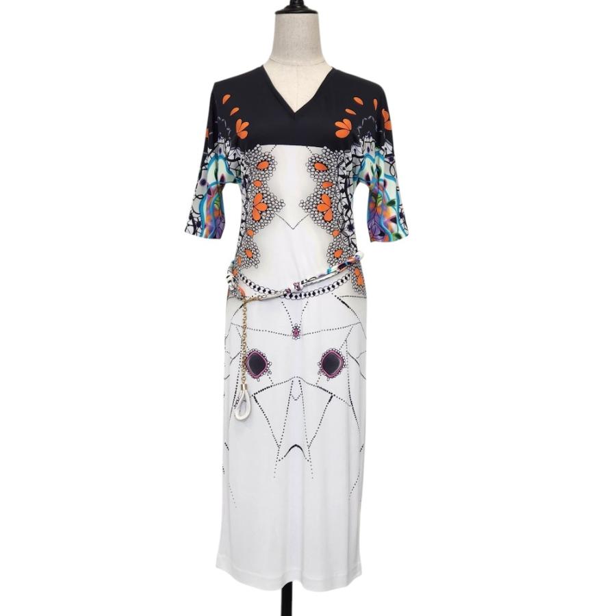 ETRO（エトロ） 美品 アートプリント ドルマンスリーブ Vネック 