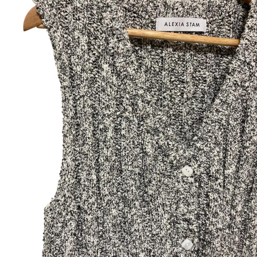美品 24SS ALEXIA STAM アリシアスタン ニットベスト フリーサイズ