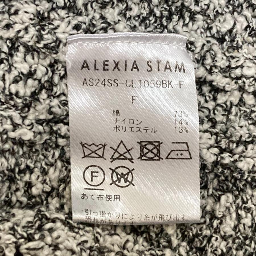 美品 24SS ALEXIA STAM アリシアスタン ニットベスト フリーサイズ