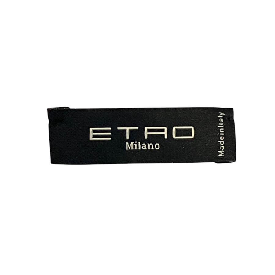 ETRO（エトロ） 美品 ペイズリー柄 フリンジ 大判ストール パープル