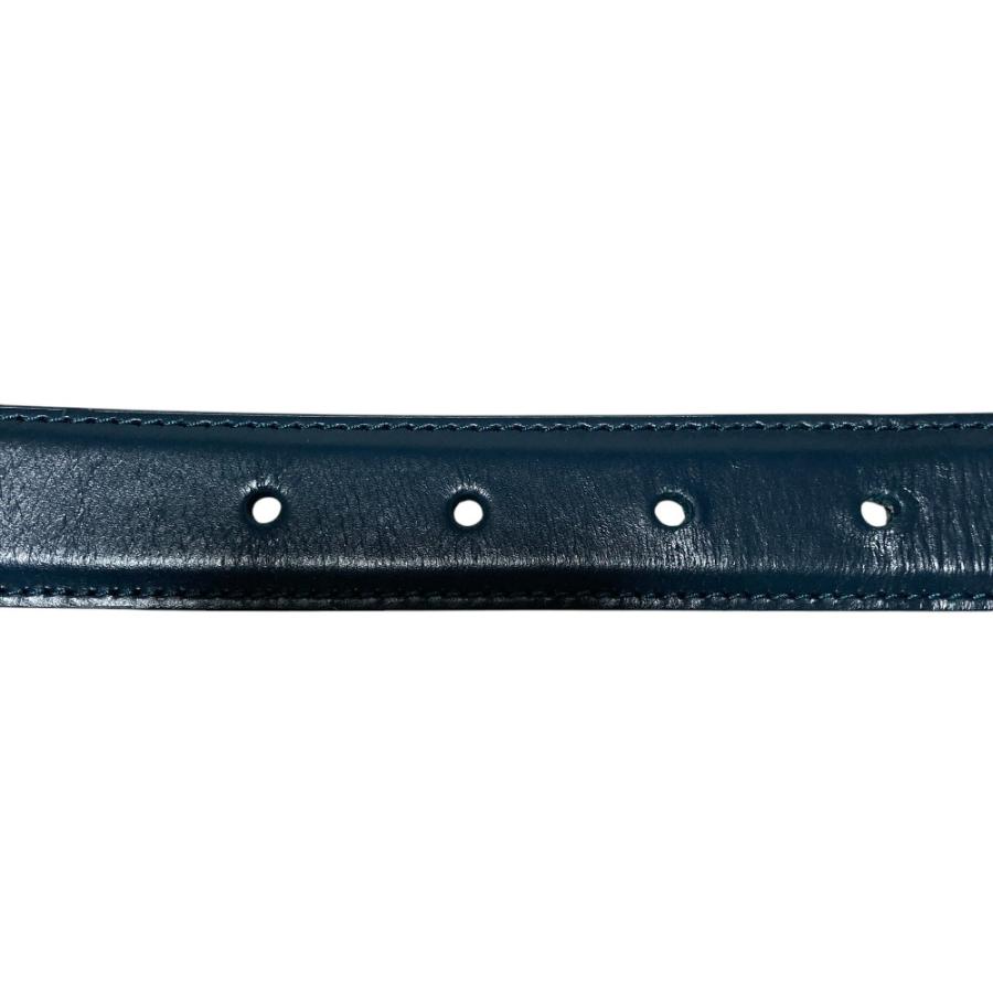 CELINE（セリーヌ） 美品 トリオンフ レザーベルト F-NE-1261 サイズ80