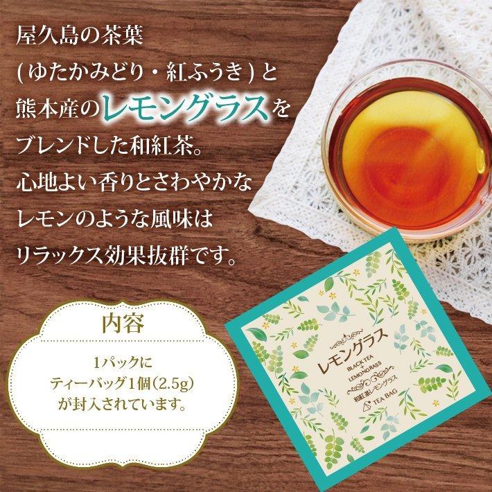 紅茶 ギフト 和紅茶 フルーツティー & ハーブティーギフト 5種類 ドライフルーツ きごころ 国産紅茶 お茶 おしゃれ 日本の紅茶 メール便  内祝い お返し｜kigocorotea｜07