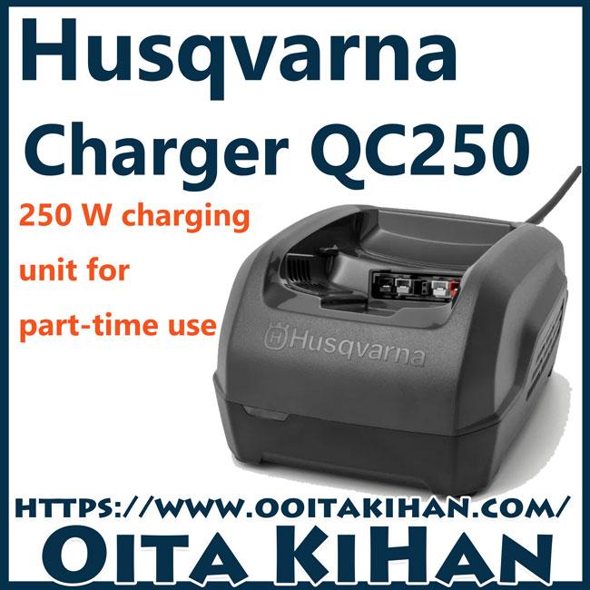 ハスクバーナ（Husqvarna） ハスクバーナバッテリーチェンソー T542iXP 