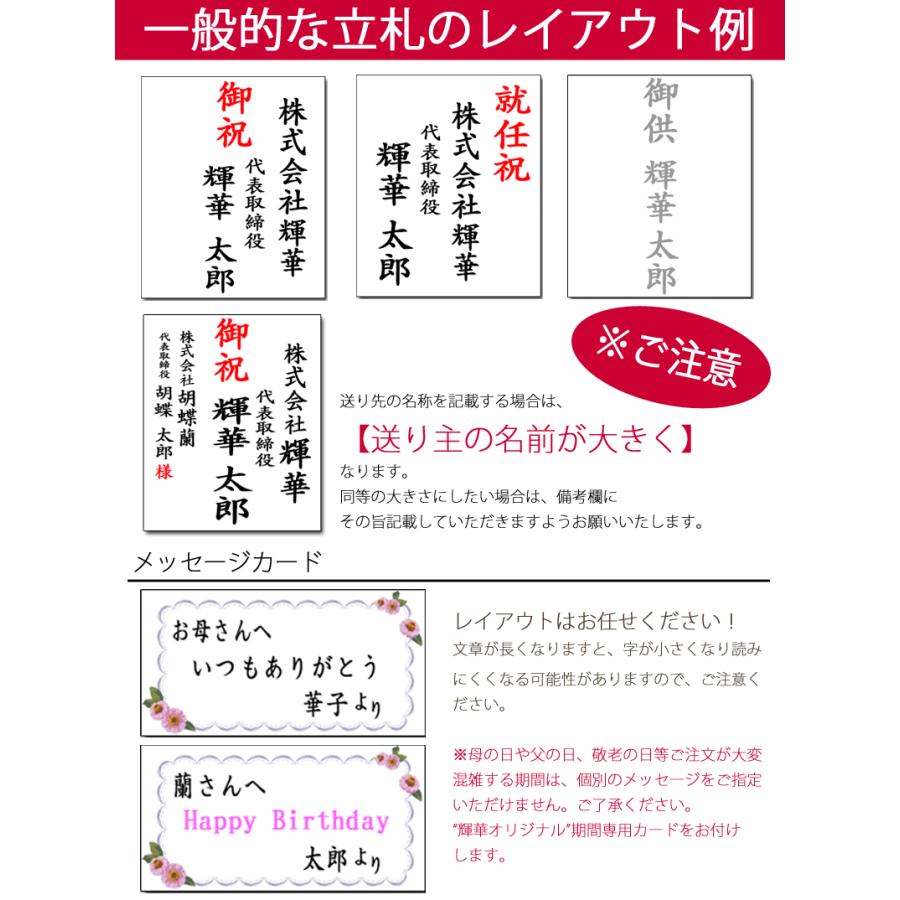 胡蝶蘭　大輪 ３本立ち 送料無料 明日贈れる 15,000円　35輪前後　お祝い ギフト お供え 開店祝い 即日配送｜kihana-shop｜16