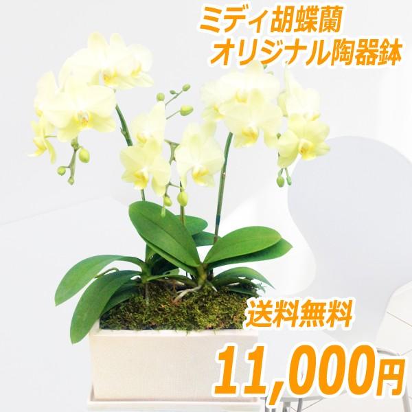 ミディ3本立オリジナル陶器鉢(パルテノ鉢)　黄色系【選べる2色】ピンク系、イエロー系