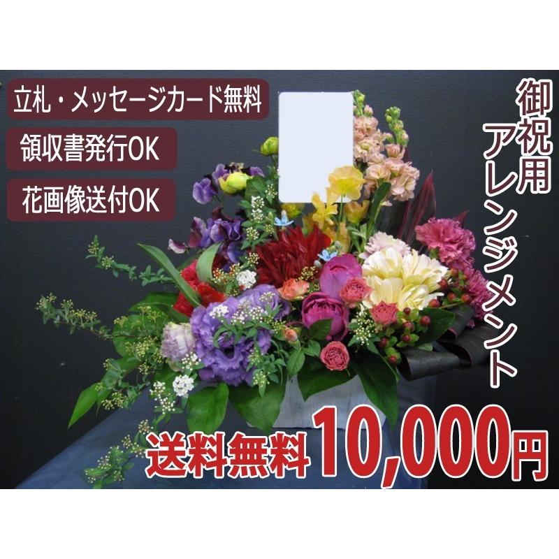 生花 お祝い用アレンジメント 10,500円｜kihana-shop