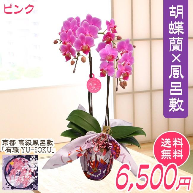 送料無料！メナード アブソルテ セルラーサプライ 40g 新品メナード