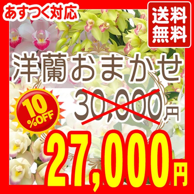 洋蘭おまかせ30,000円 内祝 輝花 花 ガーデニング 年賀 10000802sale あすに届けるお 洋蘭おまかせ30,000円 内祝 輝花 花 ガーデニング 年賀 10000802sale あすに届けるお