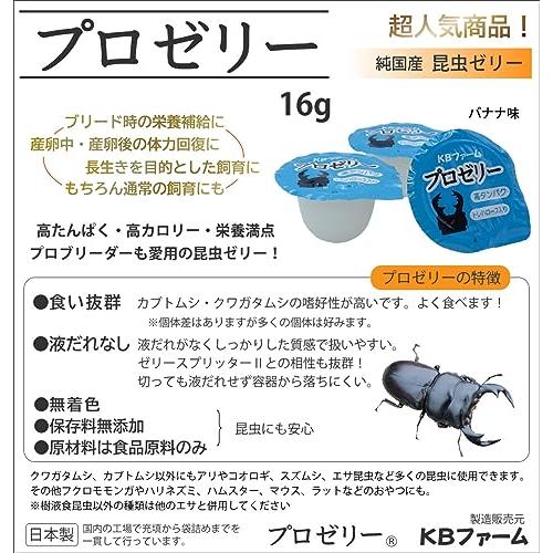 KBファーム プロゼリー(16g 100個入り) 高たんぱく カブトムシ・クワガタ用｜kiholdings｜03