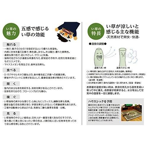ブランドおしゃれ 大島屋 ござ 上敷 大嶋 江戸間 8帖 い草 江戸間 8帖 約352 352cm A B00lteqvfo キー 通販 Yahoo ショッピング 即納特典付き Gestion Etechnologies Shop