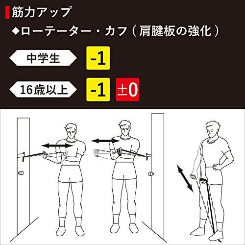 セラバンド セラチューブ トレーニングバンド トレーニングチューブ