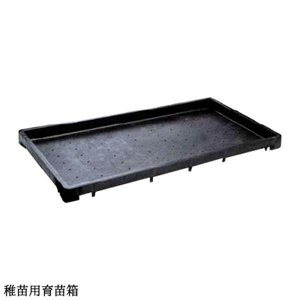 育苗箱 苗箱 苗 肥料 根 根離れ 通水性 種 たね タネ さし木 さし芽