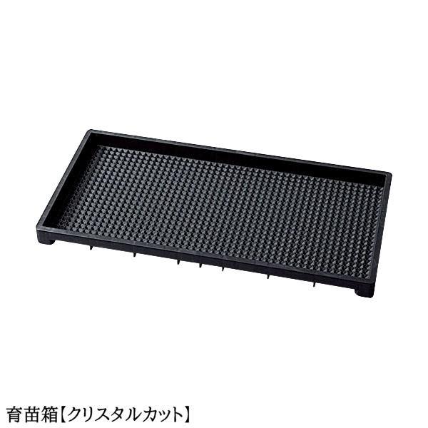 育苗箱 苗箱 苗 肥料 根 根離れ 通水性 種 たね タネ さし木 さし芽