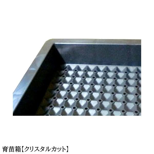 育苗箱 苗箱 苗 肥料 根 根離れ 通水性 種 たね タネ さし木 さ 育苗箱 苗箱 苗 肥料 根 根離れ 通水性 種 たね タネ さし木 さ