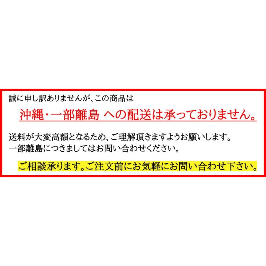 人工芝 芝生 人工芝ロール 国内生産 高密度 人工芝生 人工芝マット 芝生マット 高品質 一般用 / SC 100 幅 91cm 182cm 20m 巻 10mm エコバルコターフの画像